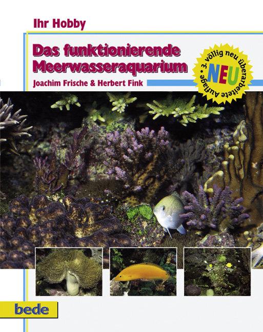 Das funktionierende Meerwasseraquarium