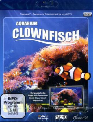 Clownfisch-Aquarium