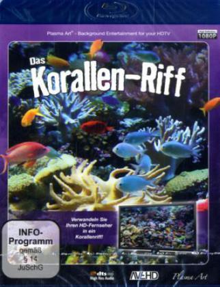 Korallen-Riff