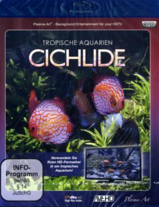 Tropische Aquarien - Cichlide