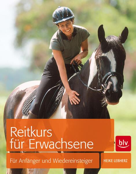 Reitkurs für Erwachsene