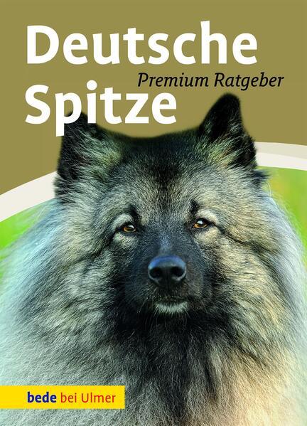 Deutsche Spitze