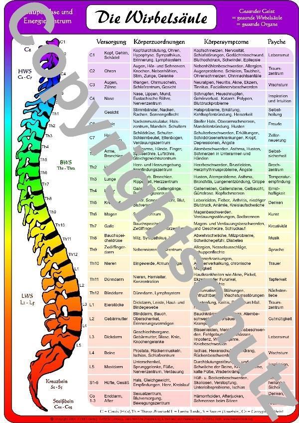 Wirbelsäulenzonen Übersichtskarte