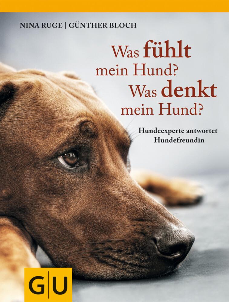 Was fühlt mein Hund? Was denkt mein Hund?