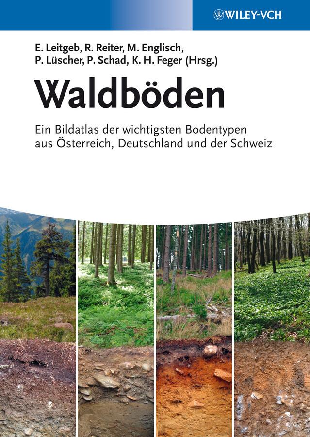 Waldböden