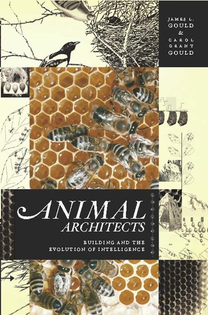 Animal Architects