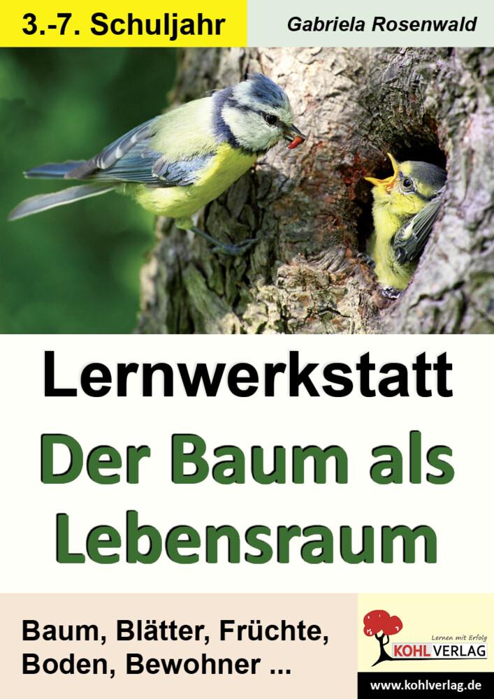 Lernwerkstatt Der Baum als Lebensraum