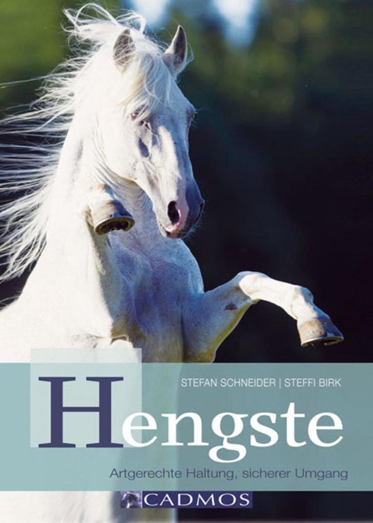 Hengste