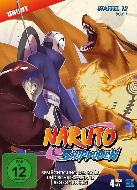 Naruto Shippuden - Bemächtigung des Kybi und schicksalhafte Begegnungen. Staffel.12, 4 DVDs