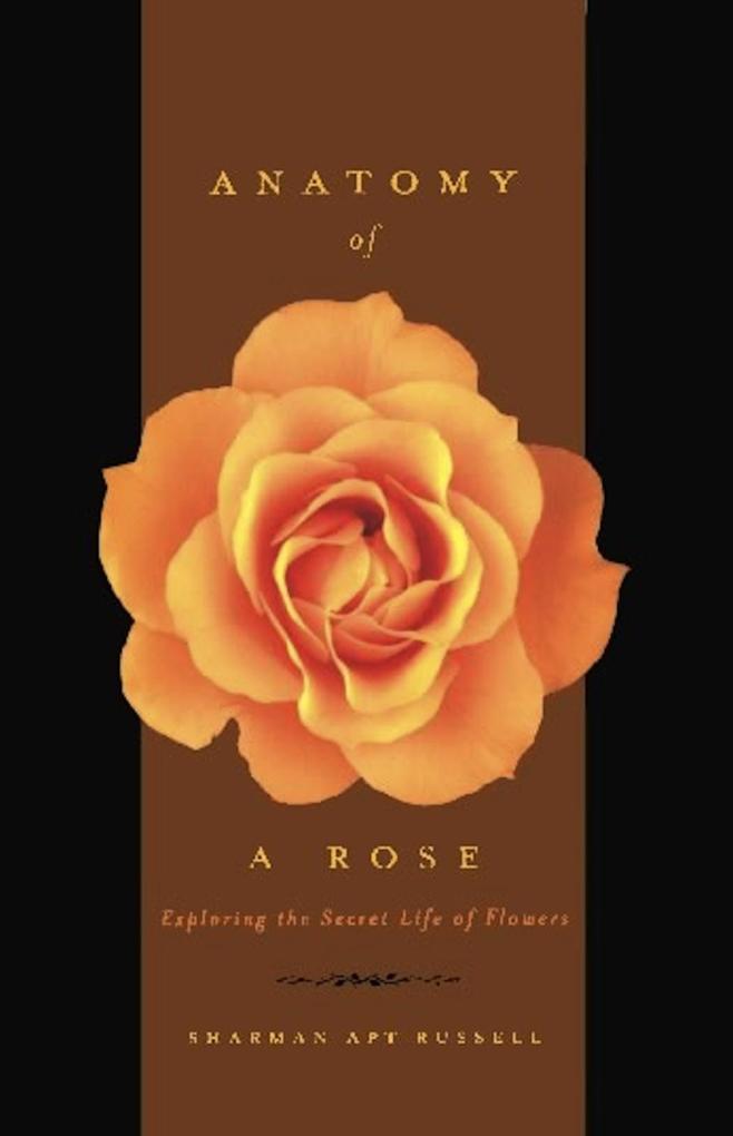 Anatomy Of A Rose