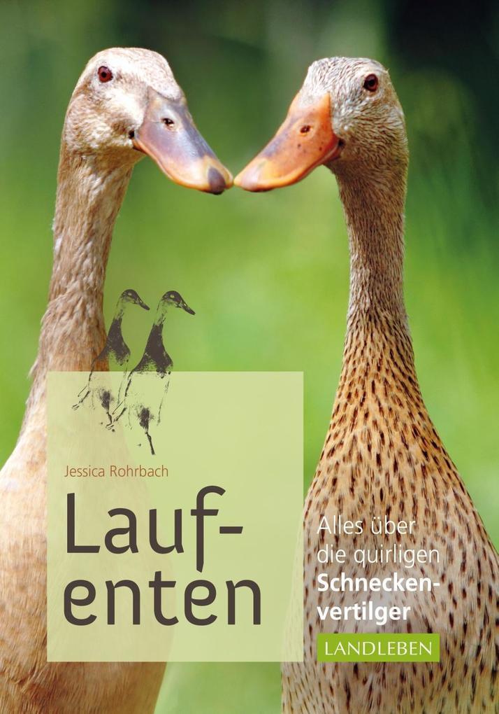 Laufenten