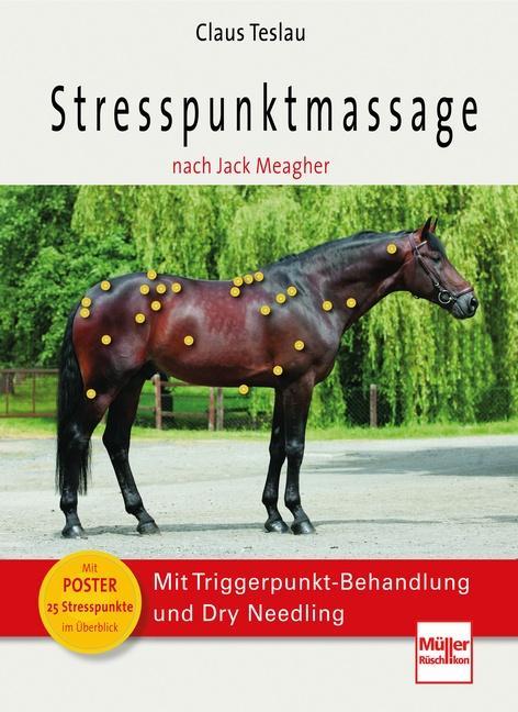 Stresspunktmassage nach Jack Meagher