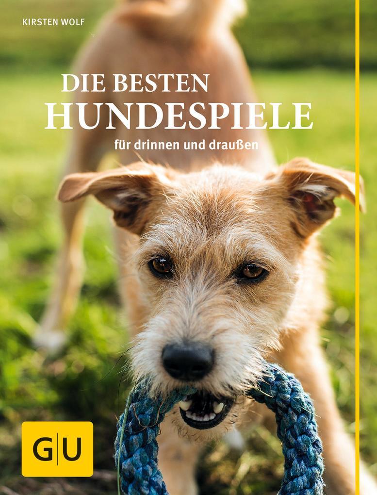 Die besten Hundespiele für drinnen und draußen