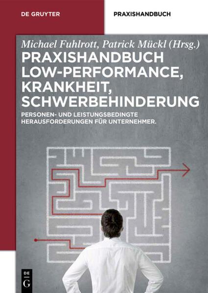 Praxishandbuch Low-Performance, Krankheit, Schwerbehinderung