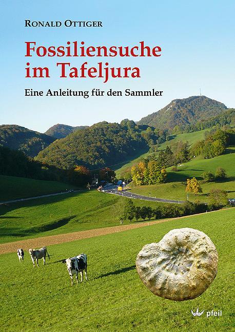 Fossiliensuche im Tafeljura