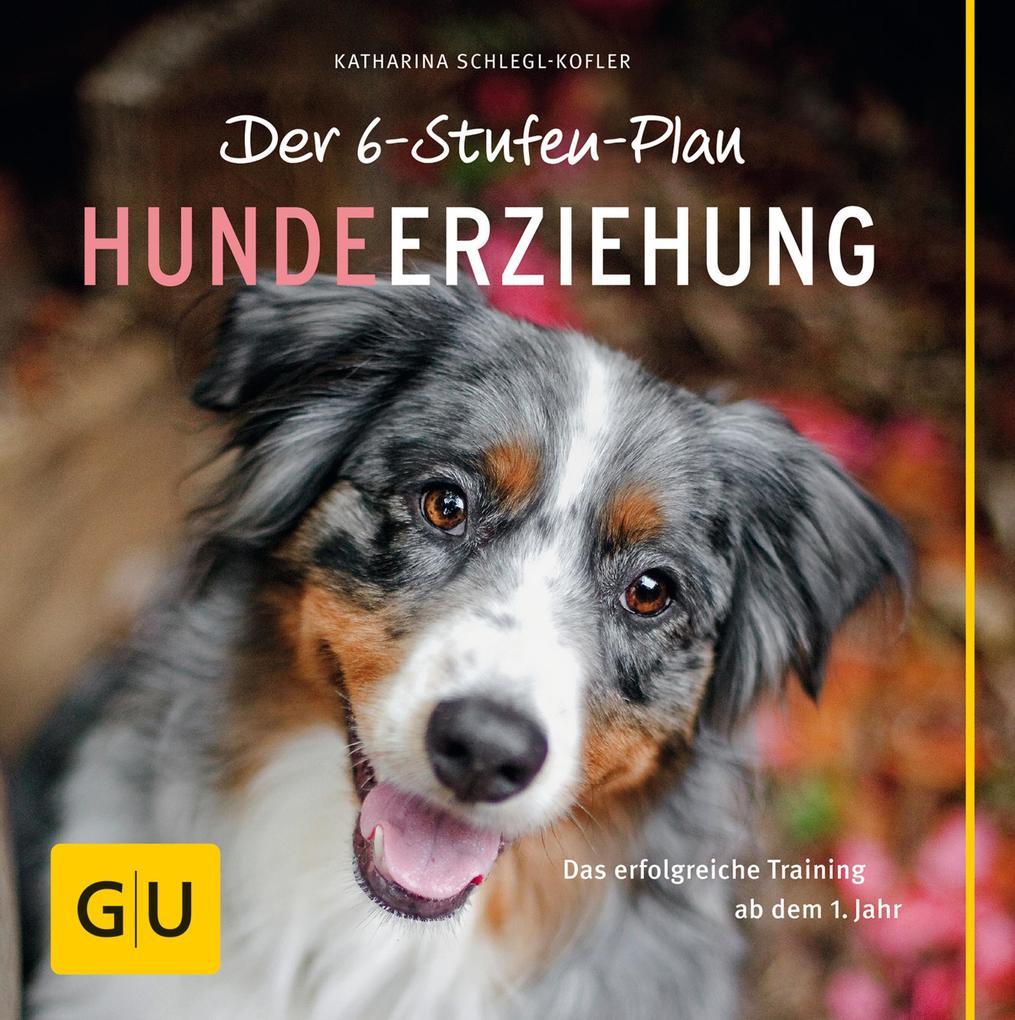 Der 6-Stufen-Plan Hundeerziehung