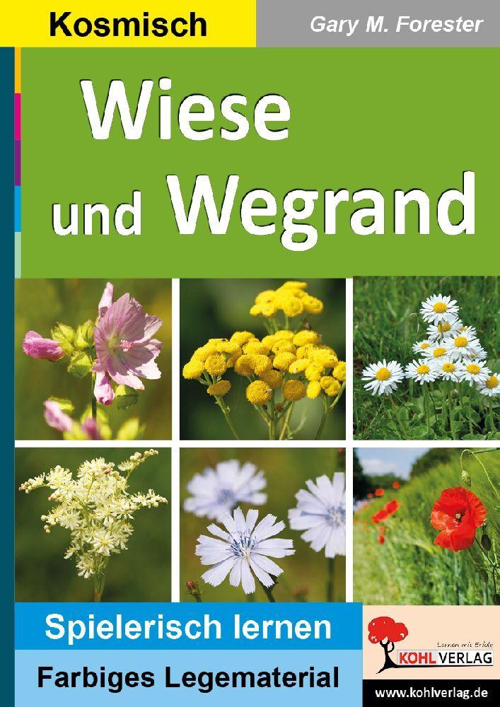 Wiese und Wegrand