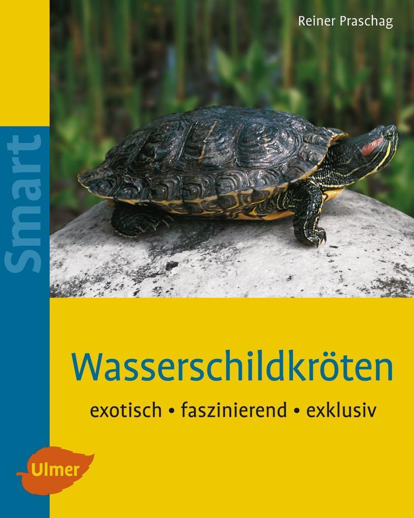 Wasserschildkröten