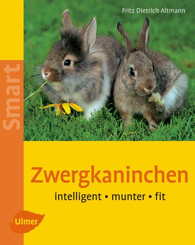 Zwergkaninchen