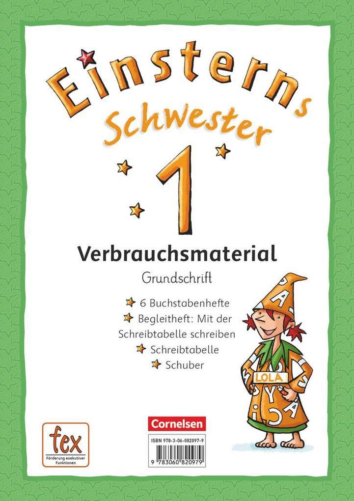 Einsterns Schwester - Erstlesen 1. Schuljahr Grundschrift: 6 Buchstabenhefte und Begleitheft im Schuber