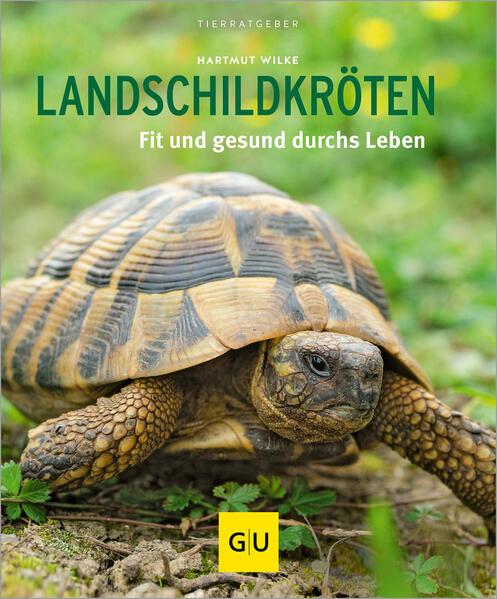 Landschildkröten