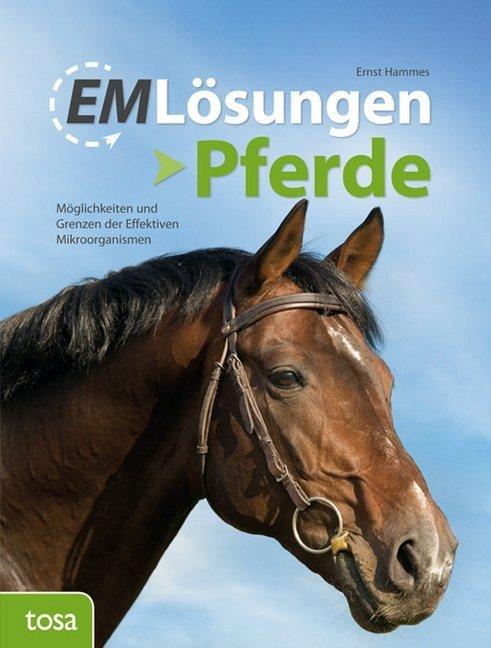 EM-Lösungen - Pferde