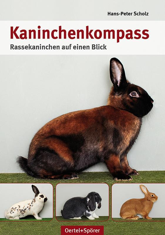 Kaninchen-Kompass