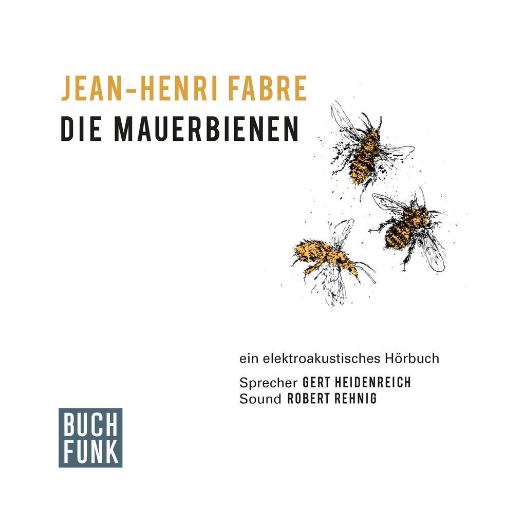 Die Mauerbienen