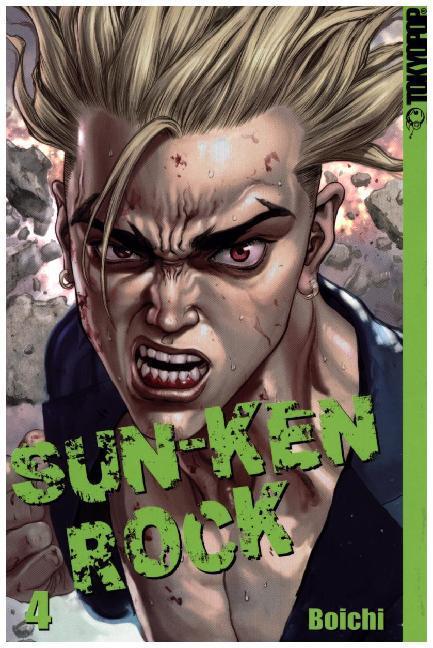 Sun-Ken Rock 04