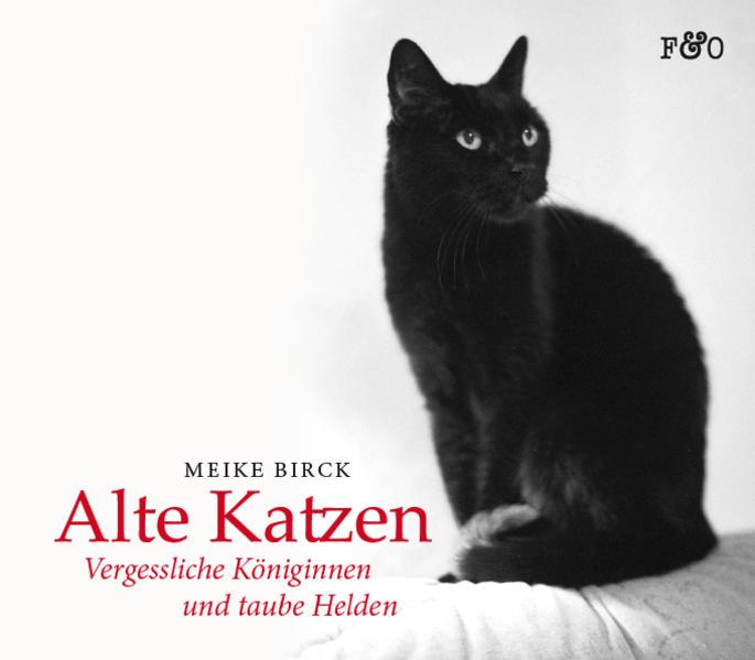 Alte Katzen