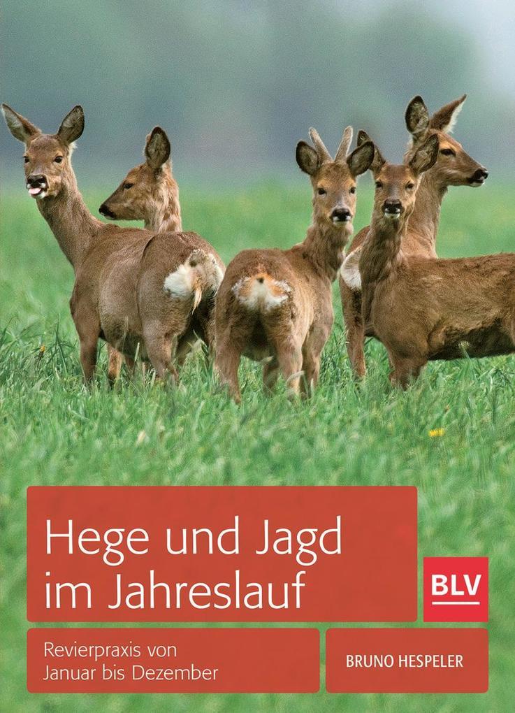 Hege und Jagd im Jahreslauf