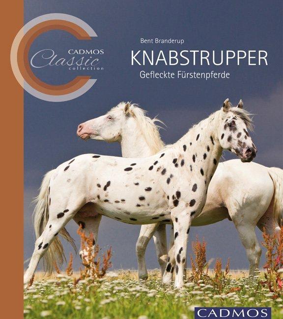 Knabstrupper