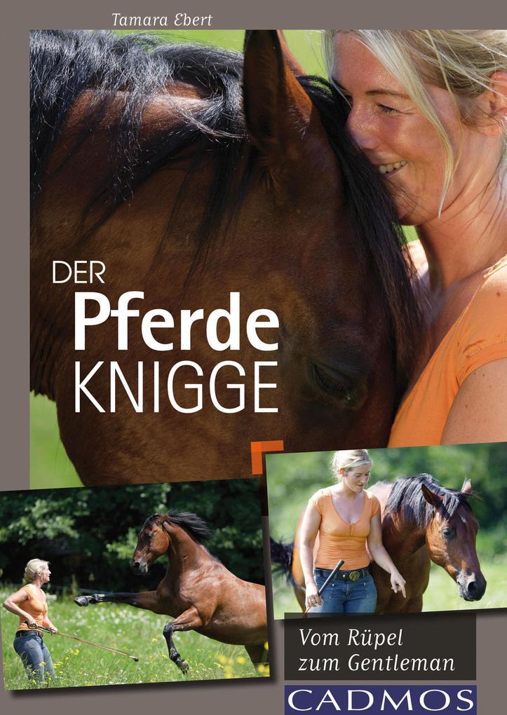 Der Pferde-Knigge