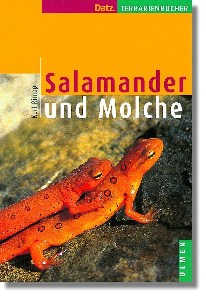 Salamander und Molche