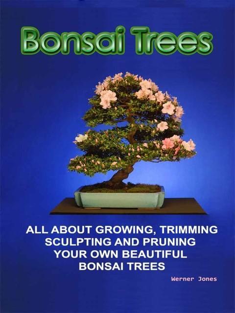 Bonsai Trees