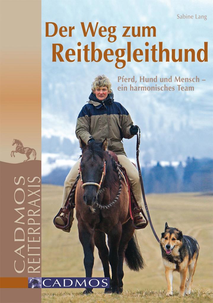 Der Weg zum Reitbegleithund