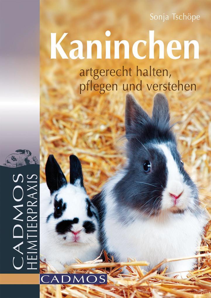 Kaninchen