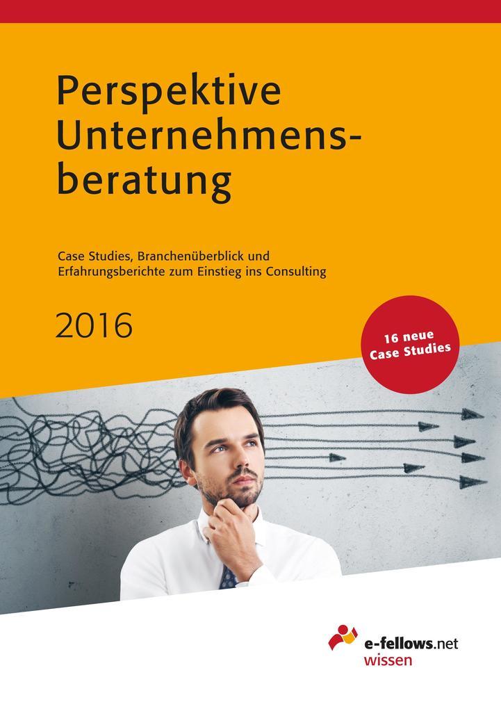 Perspektive Unternehmensberatung 2016