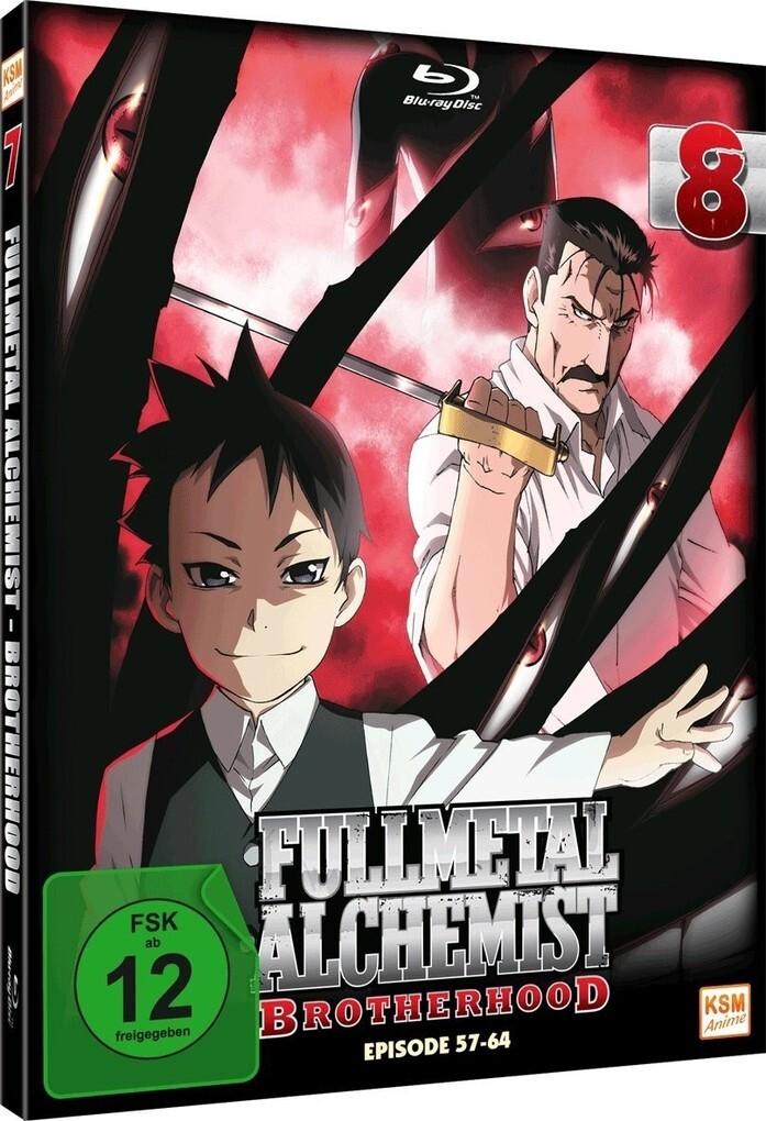 Fullmetal Alchemist 8