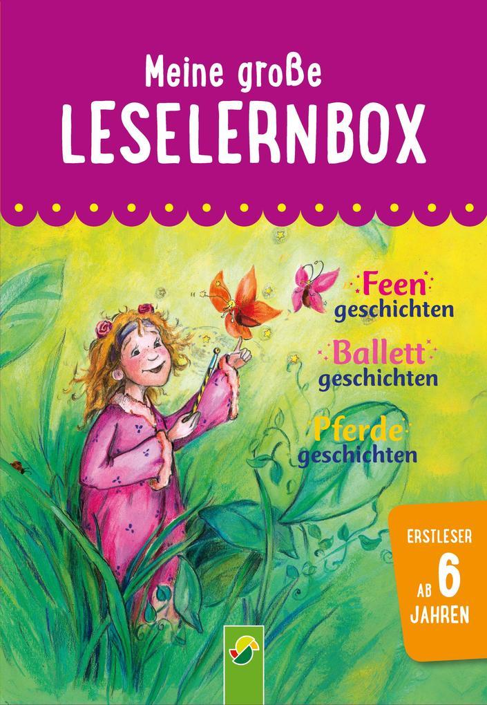 Meine große Leselernbox: Feengeschichten, Ballettgeschichten, Pferdegeschichten