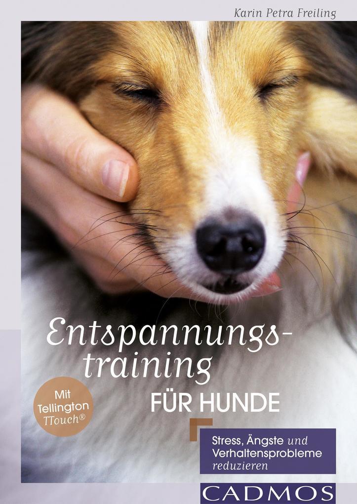 Entspannungstraining für Hunde