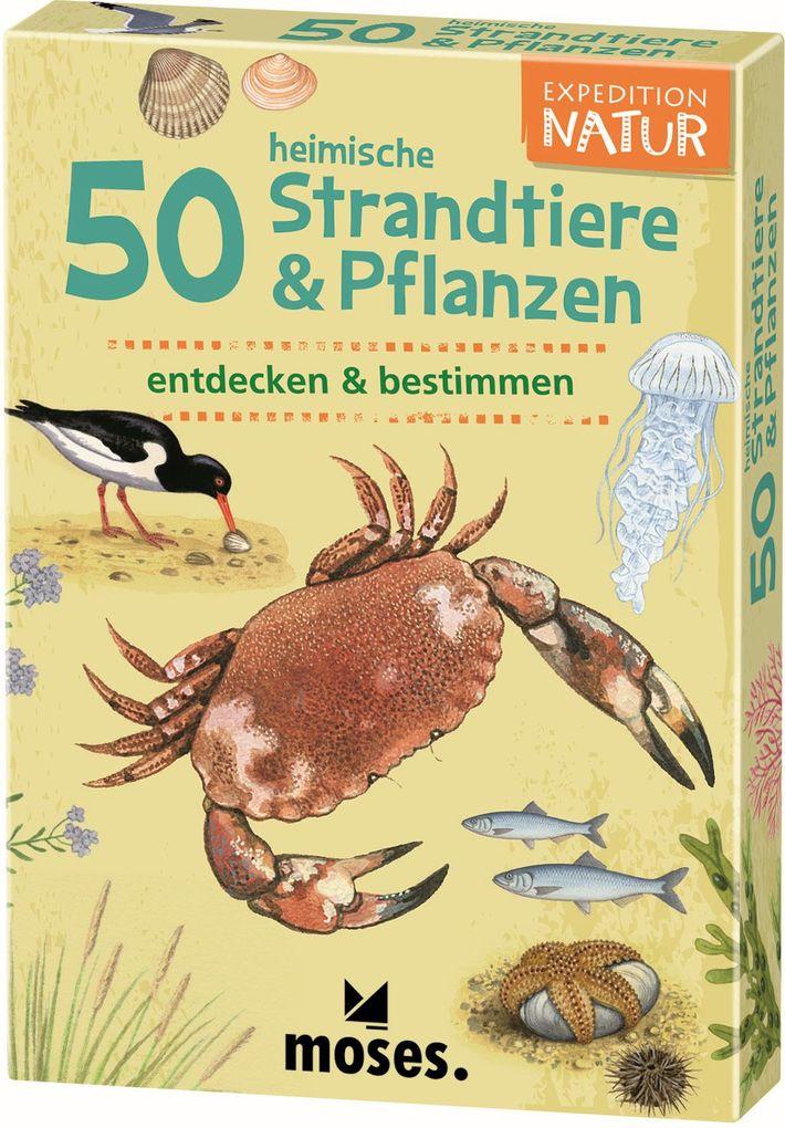Expedition Natur: 50 heimische Strandtiere & Pflanzen