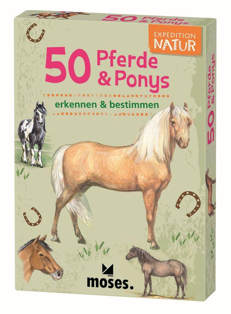 Expedition Natur: 50 Pferde & Ponys