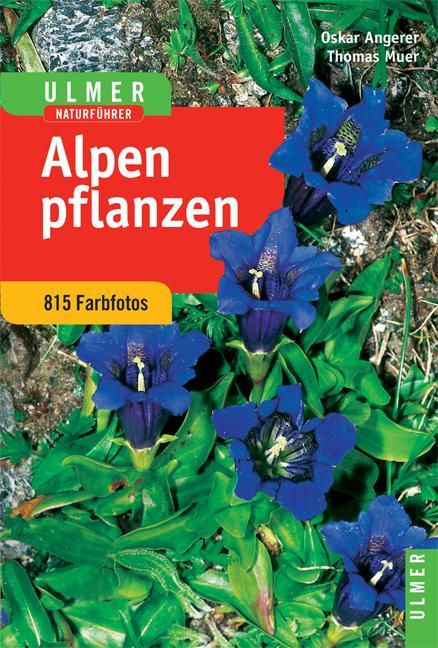 Alpenpflanzen