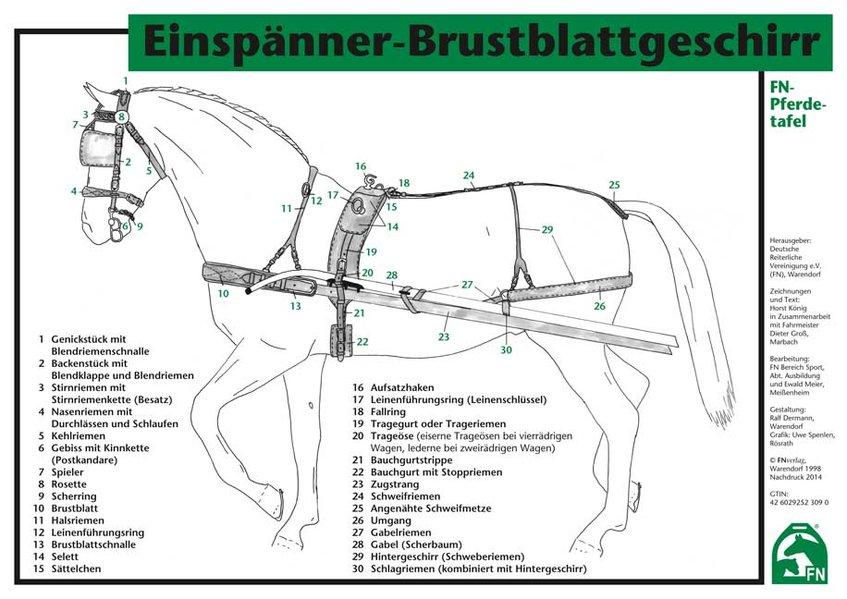 Einspänner-Brustblattgeschirr, Tafel