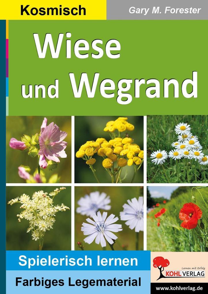 Wiese und Wegrand