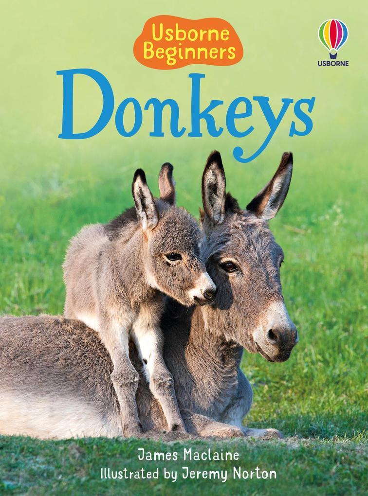 Donkeys