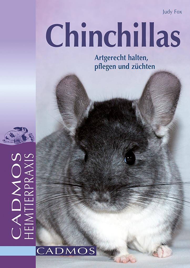 Chinchillas