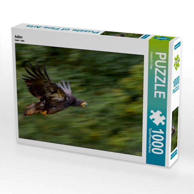 CALVENDO Puzzle Adler 1000 Teile Lege-Größe 64 x 48 cm Foto-Puzzle Bild von Ursula Di Chito