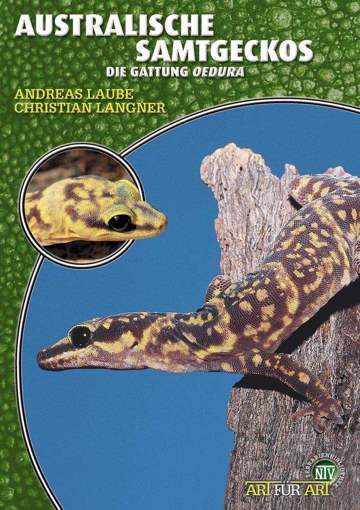 Australische Samtgeckos